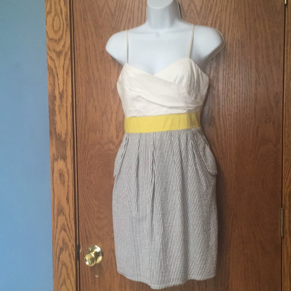 Classic Fun Summer Dress